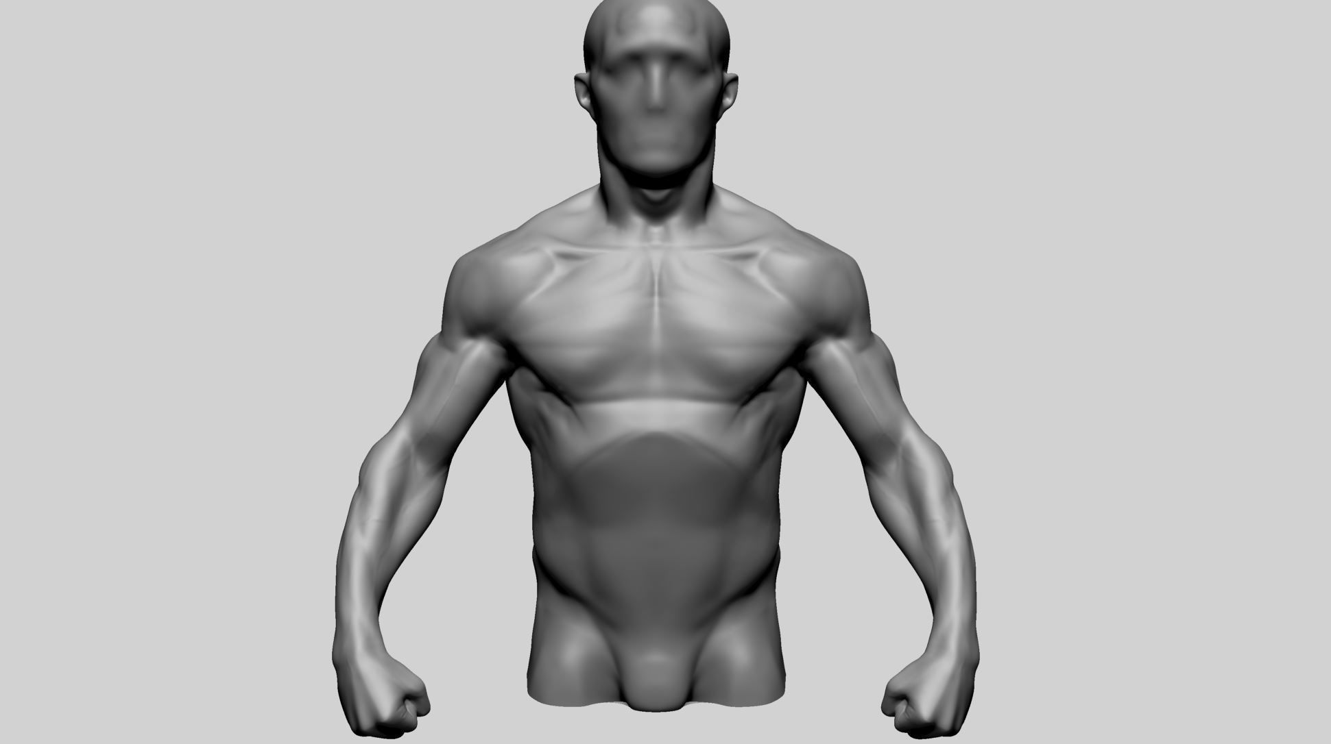 Male Torso Printable A 3D print model_6