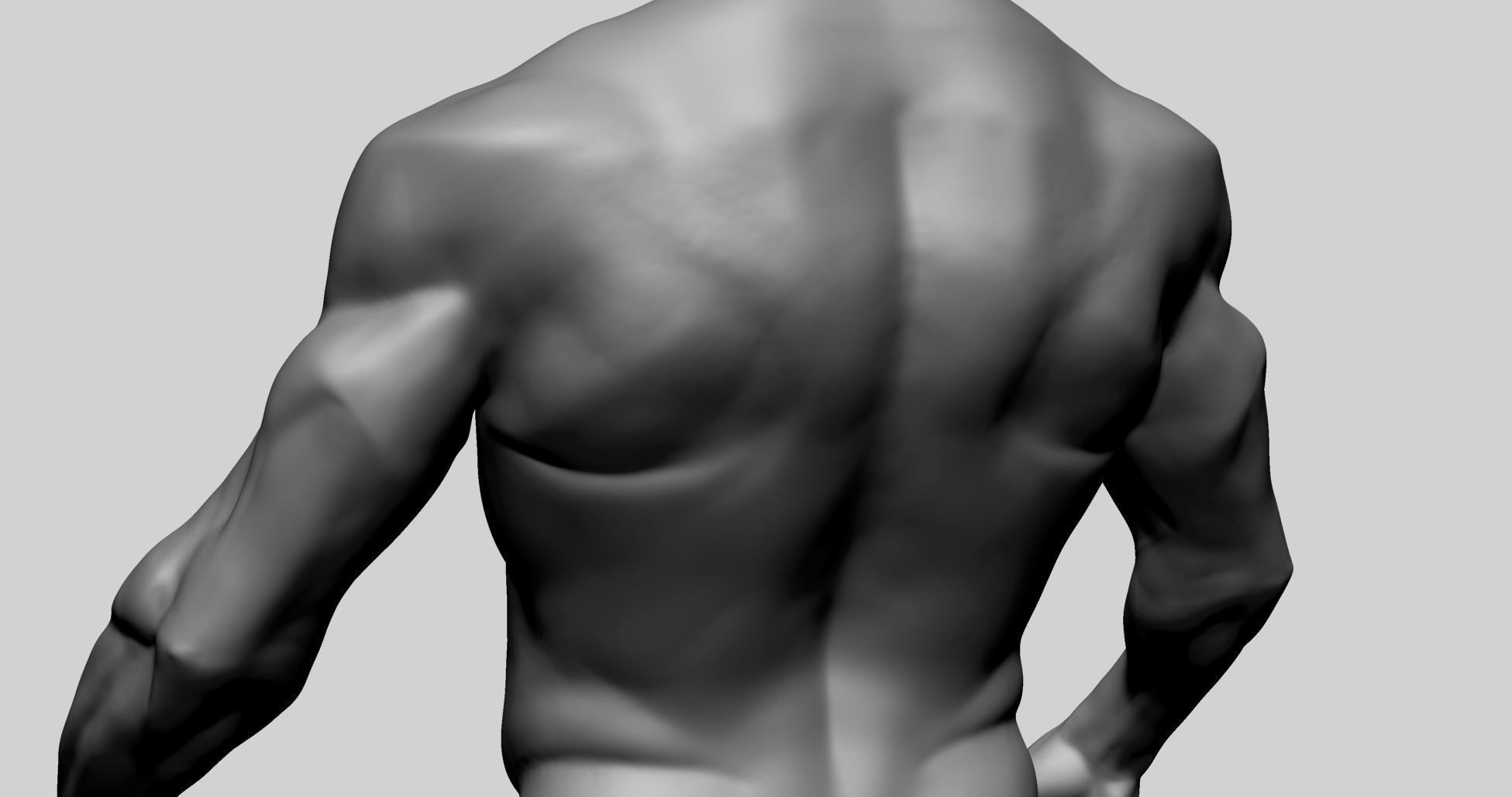 Male Torso Printable A 3D print model_8