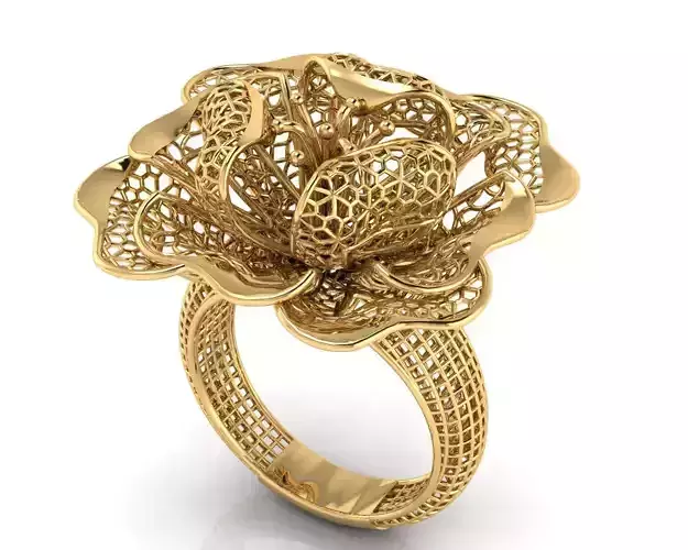 Net Design Jaali Ring