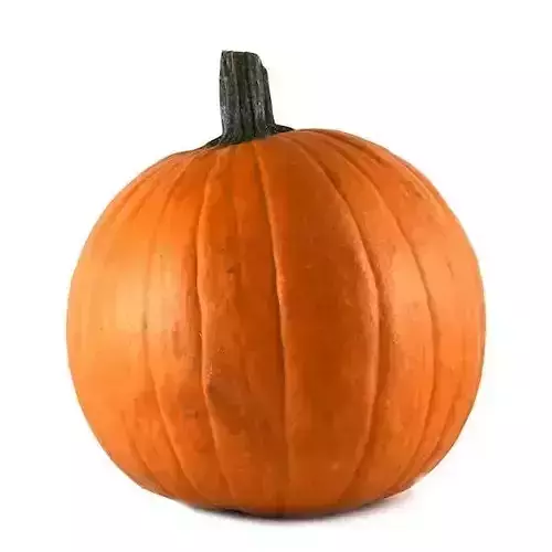 pumpkin obj