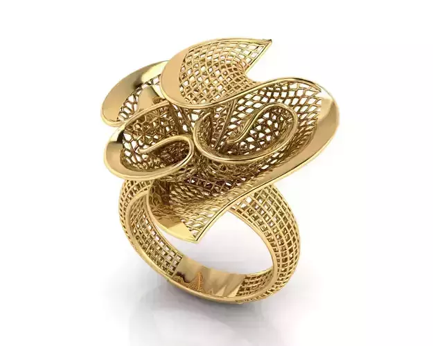 Net Design Jaali Ring 3D print model
