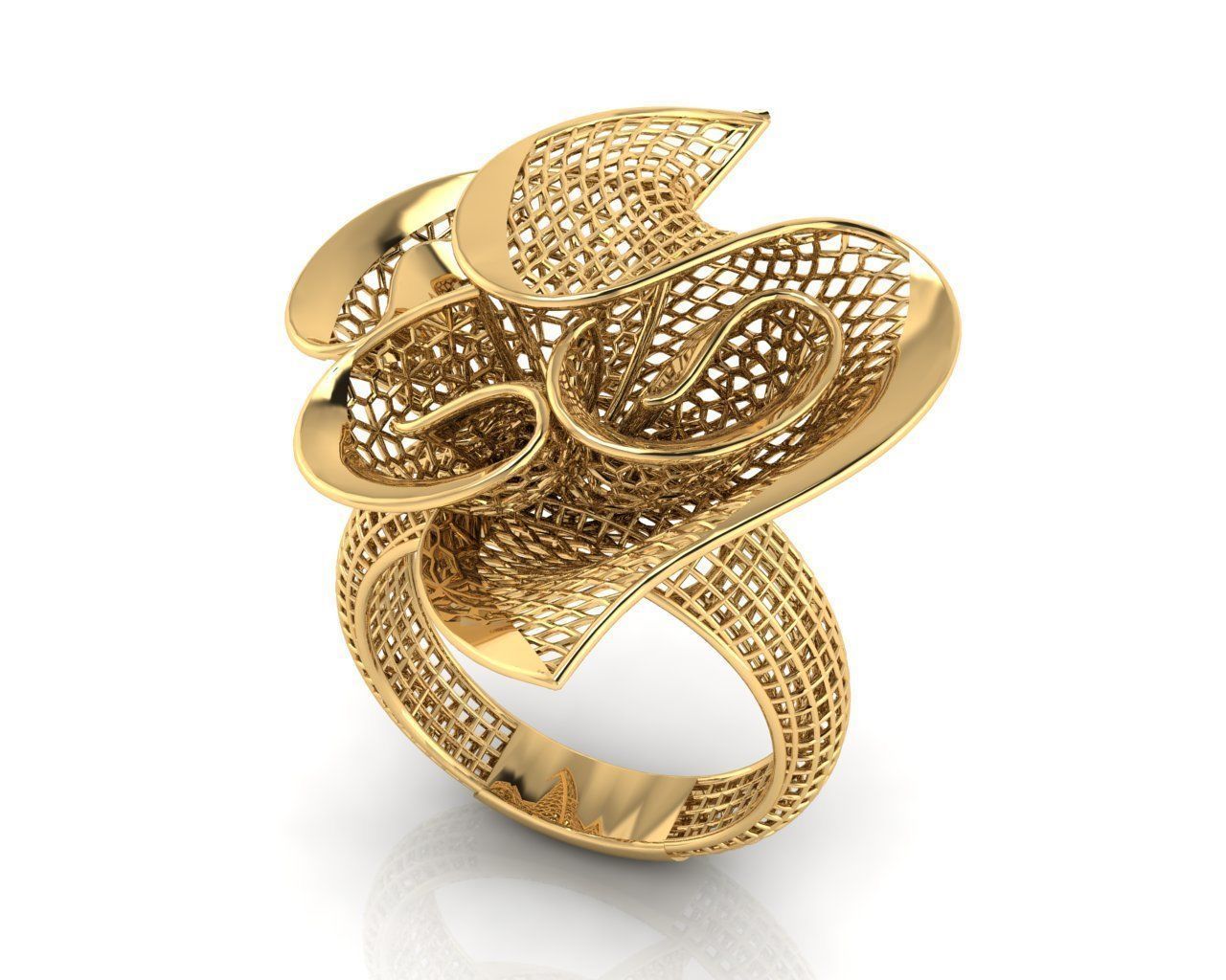 Net Design Jaali Ring 3D print model