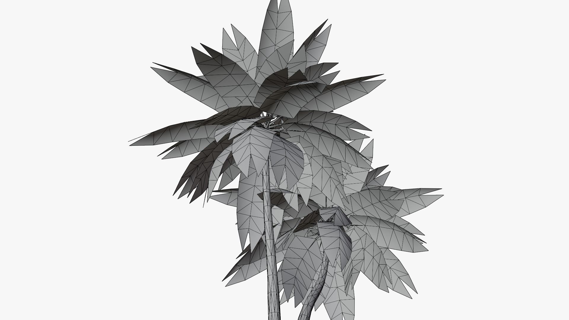 Lowpoly Date Palm v5 Low-poly 3D model_9