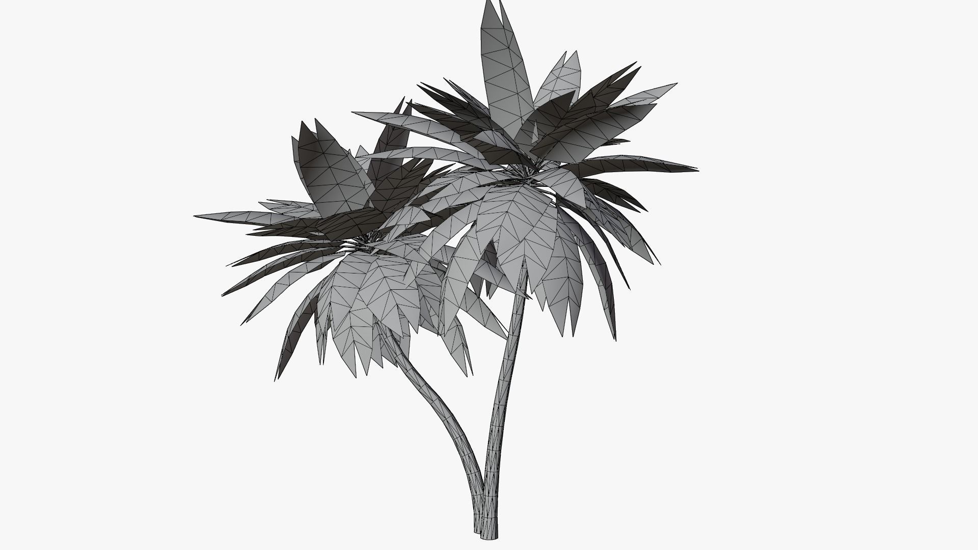 Lowpoly Date Palm v5 Low-poly 3D model_7