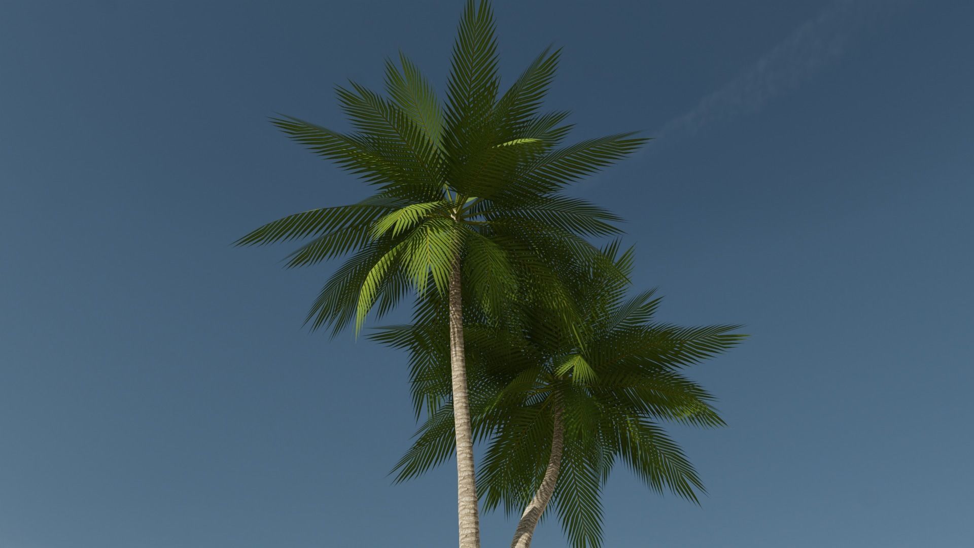 Lowpoly Date Palm v5 Low-poly 3D model_8
