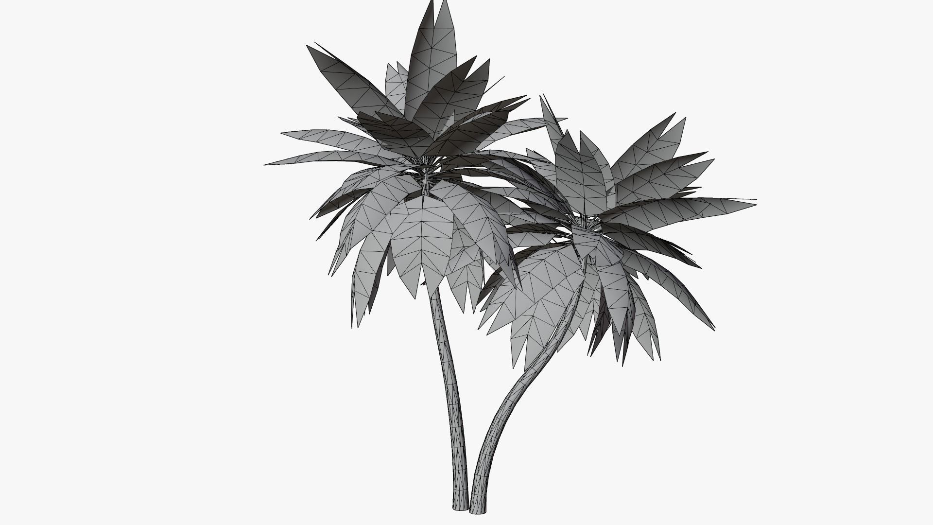 Lowpoly Date Palm v5 Low-poly 3D model_3