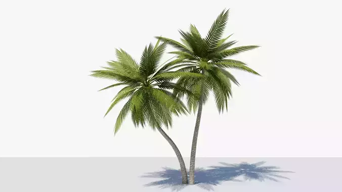 Lowpoly Date Palm v5 Low-poly 3D model