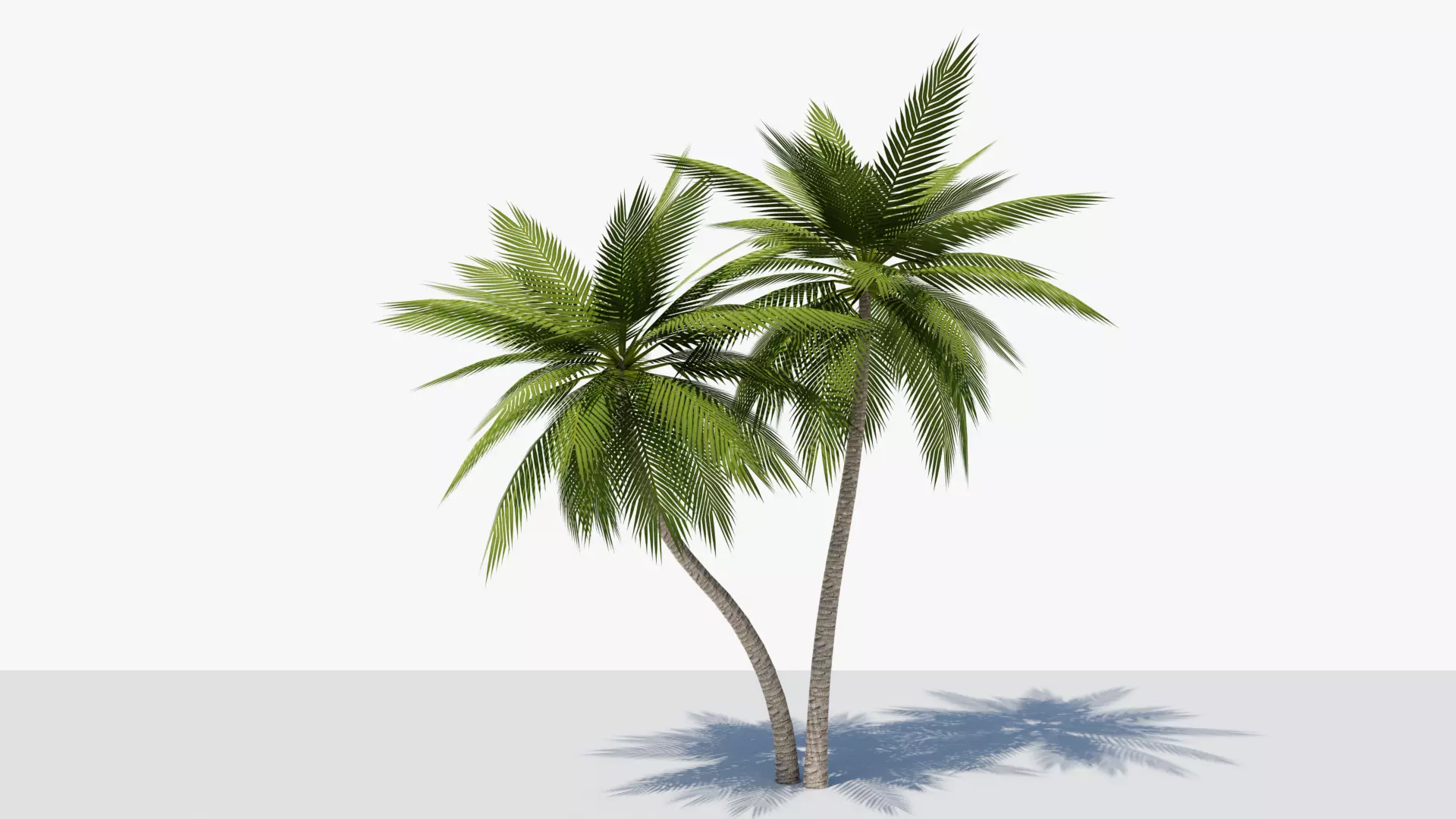 Lowpoly Date Palm v5 Low-poly 3D model_0