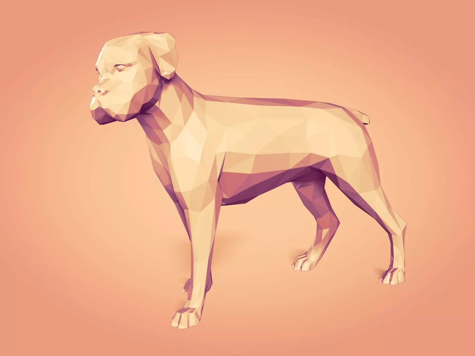 LowPoly Dog - Boxer 3D print model