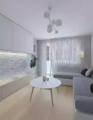 Living room of a small apartment with a small kitchen 