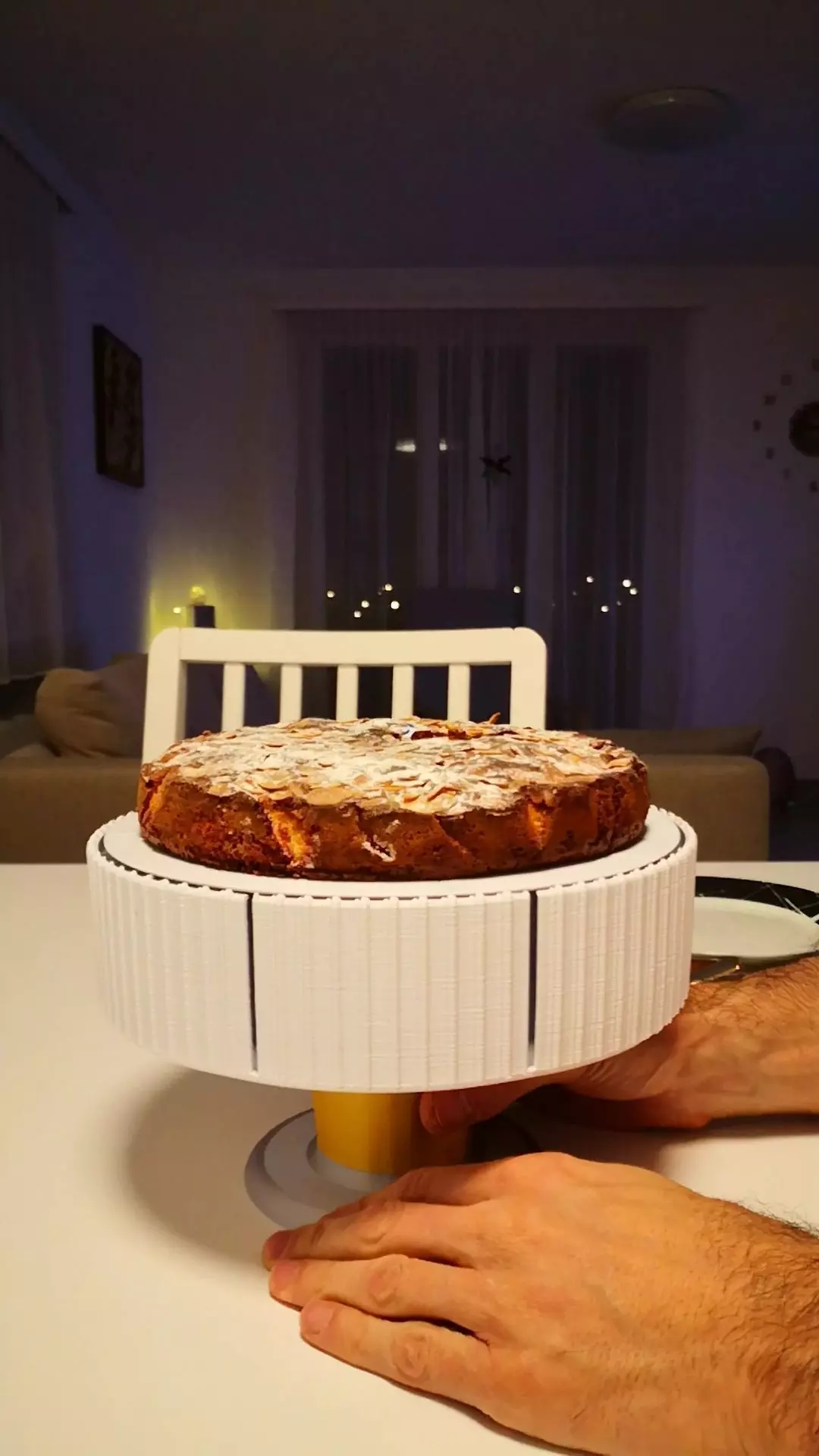 Telescopic cake holder divided into 8 slices 3D print model