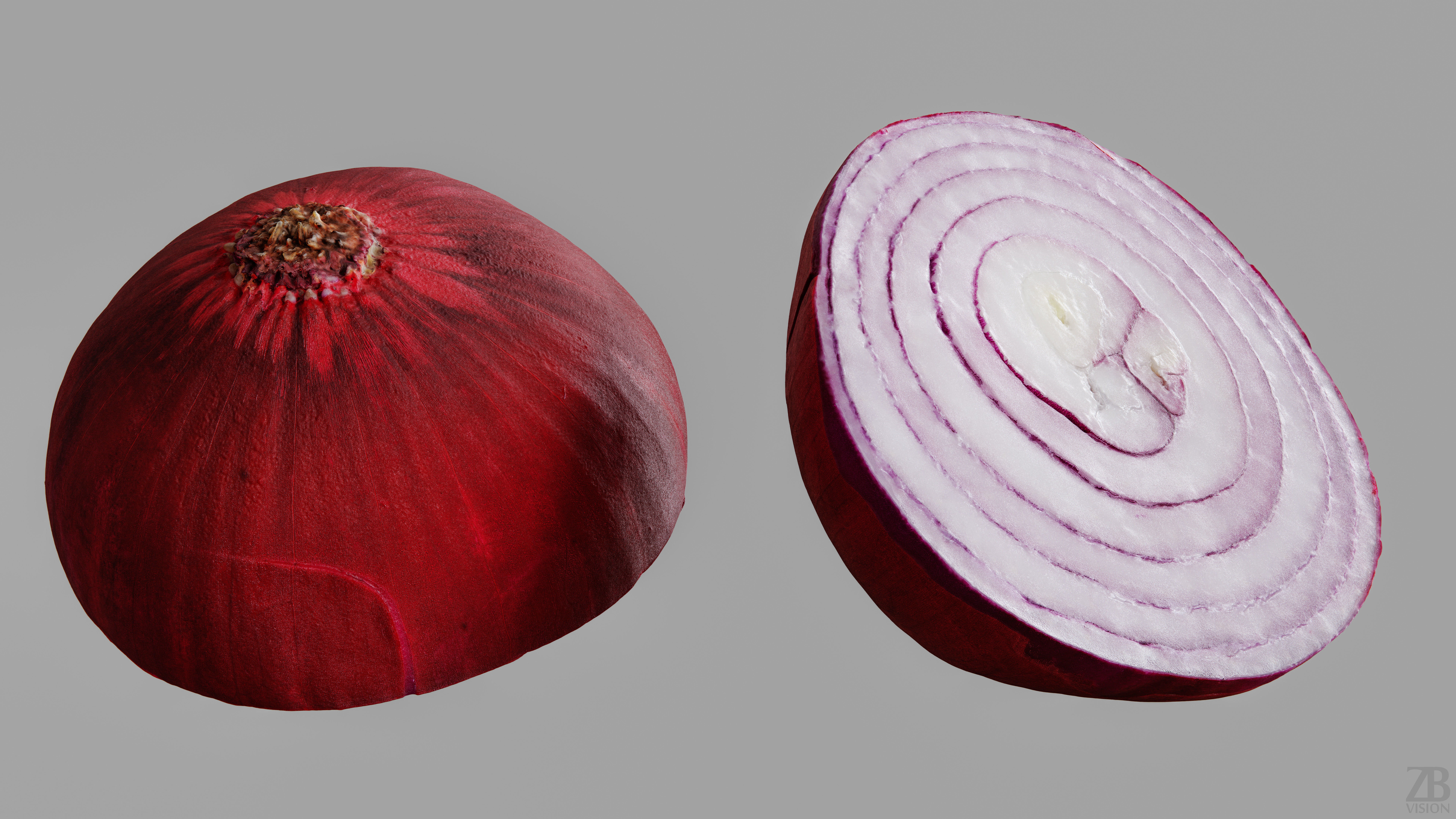 Onion 3D model_9