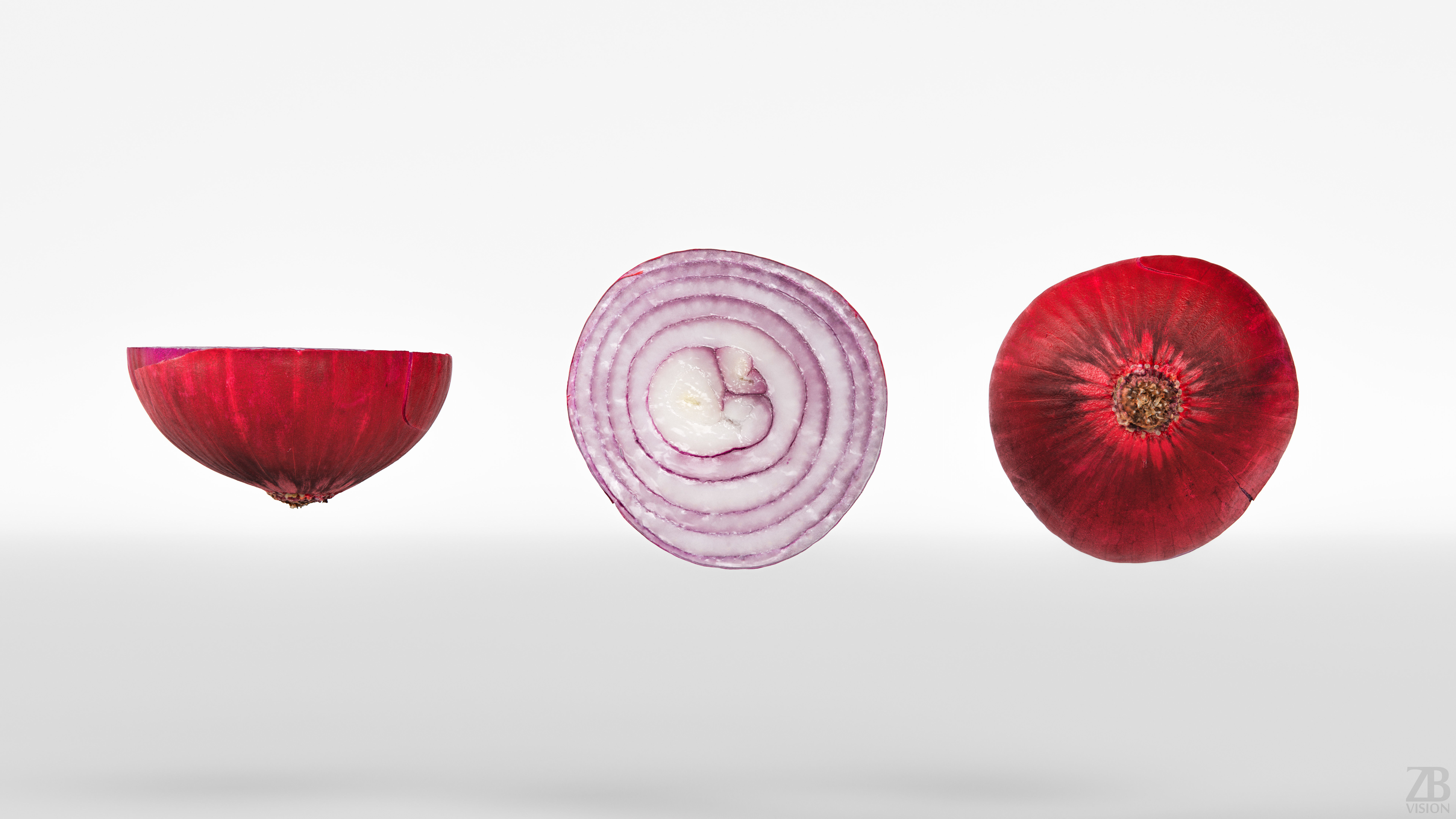 Onion 3D model_4