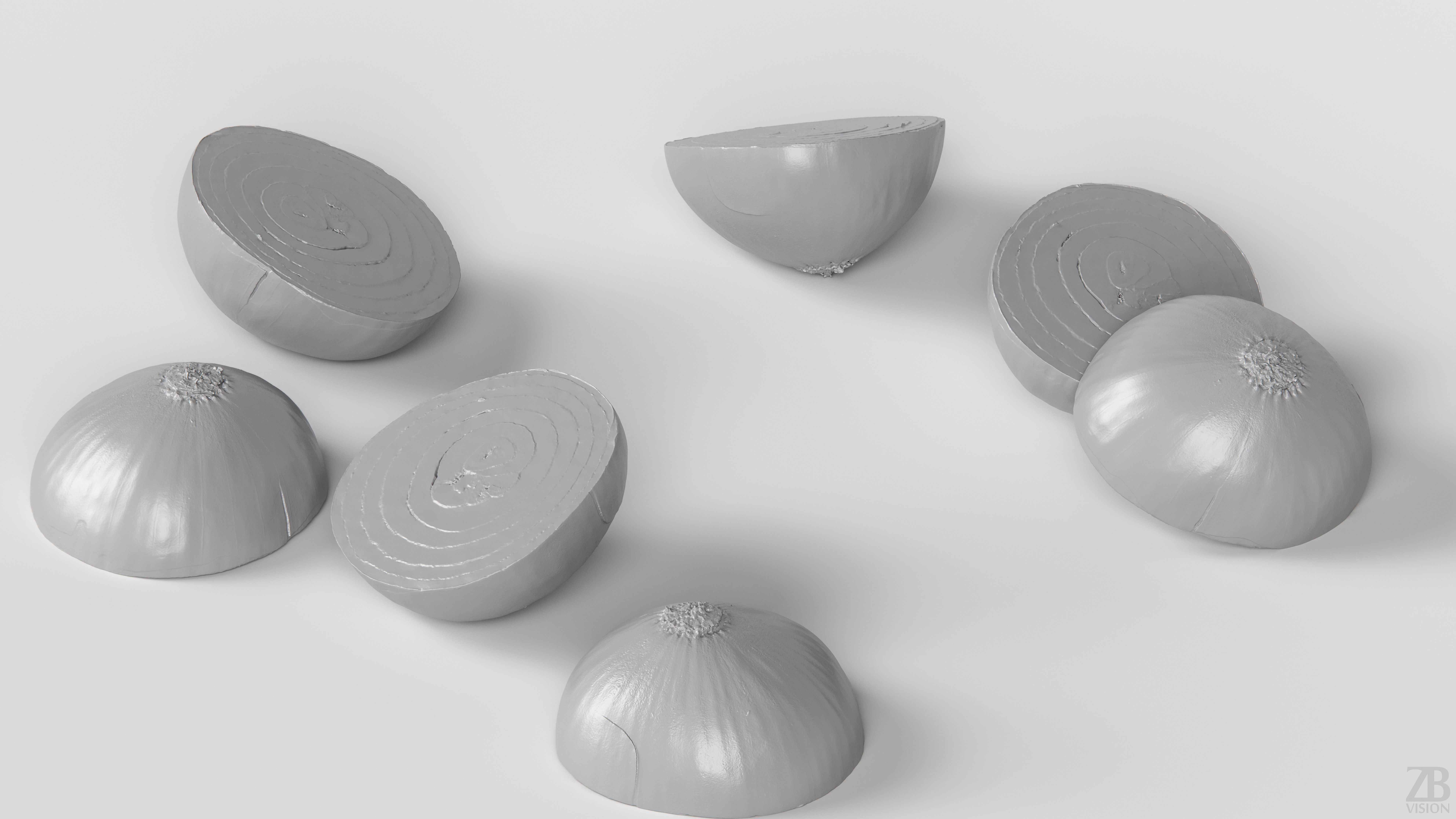 Onion 3D model_3