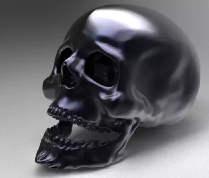 Human skull 3D print model_0