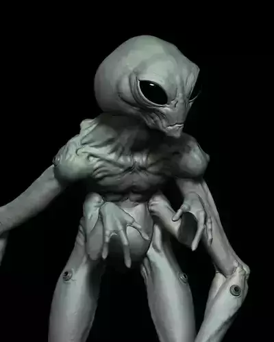 Alien Soldier Print 3D STL 3D print model
