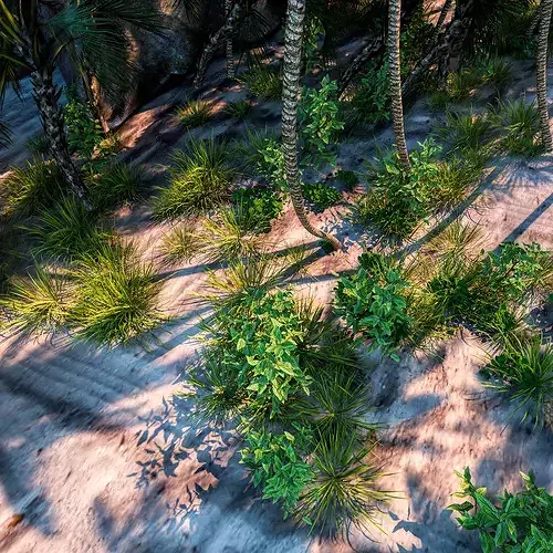 Beach  Island With realistic textures  3D model 2