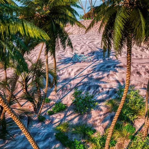 Beach  Island With realistic textures  3D model 5
