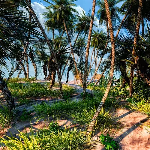Beach  Island With realistic textures  3D model 3