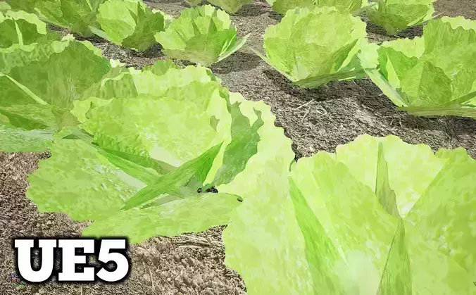 Lettuce Alface PBR lowpoly 3d Model