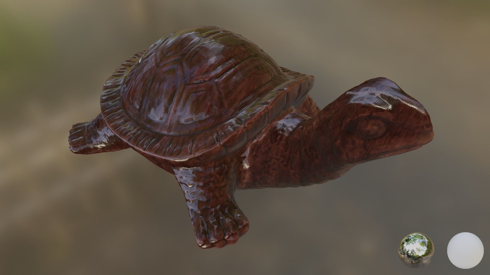 Turtle 01 3D model_5