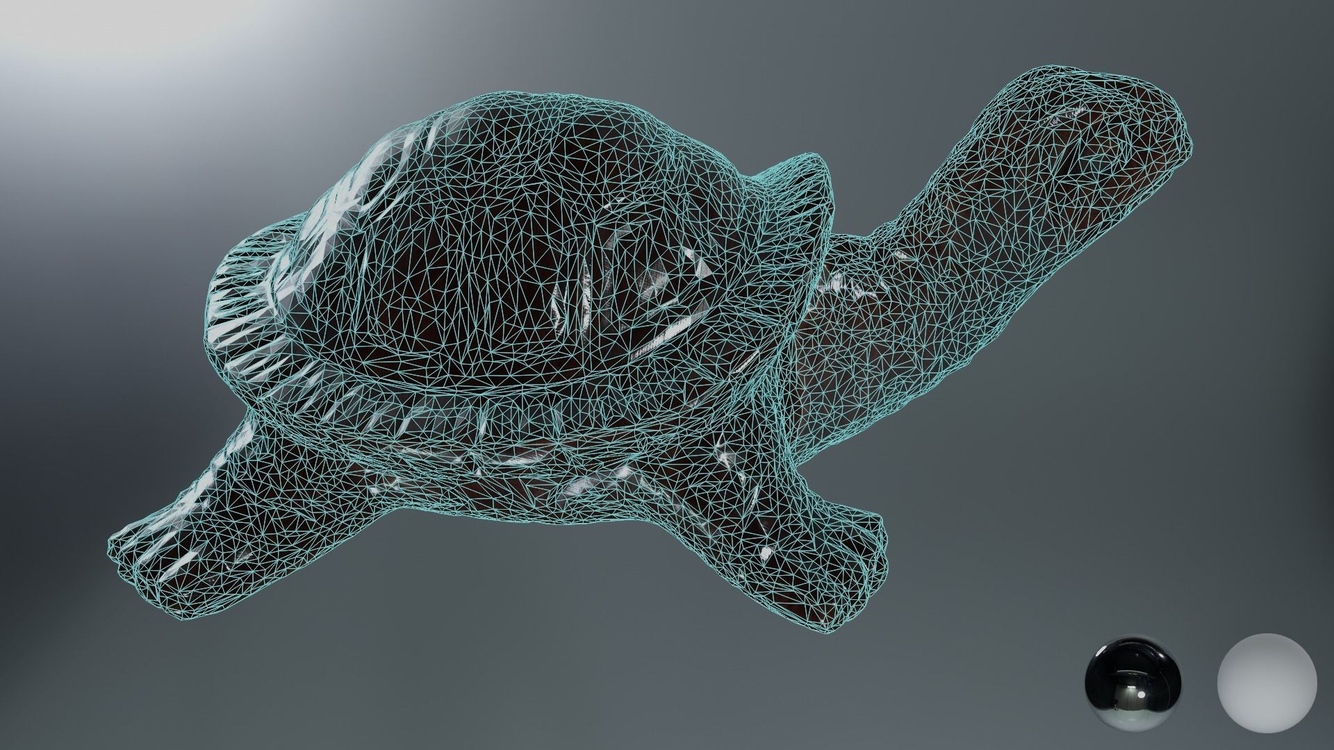 Turtle 01 3D model_13