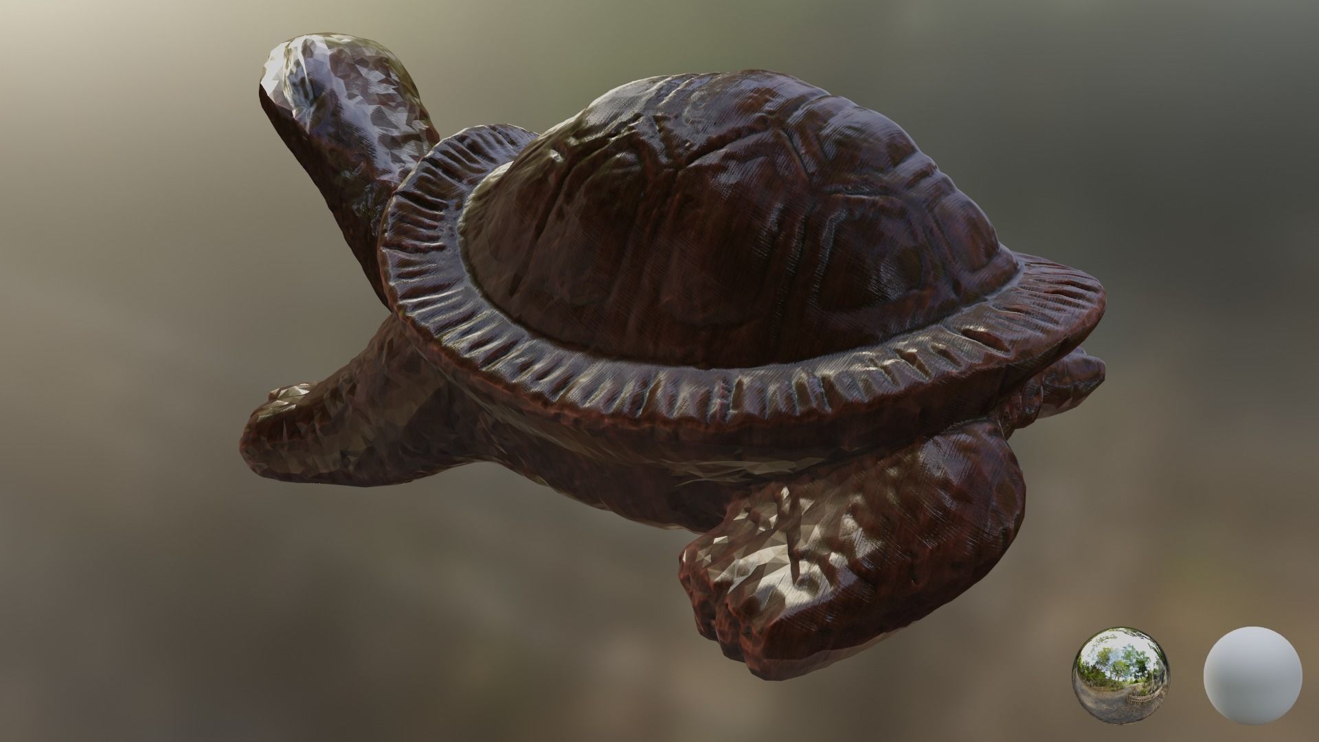 Turtle 01 3D model_7