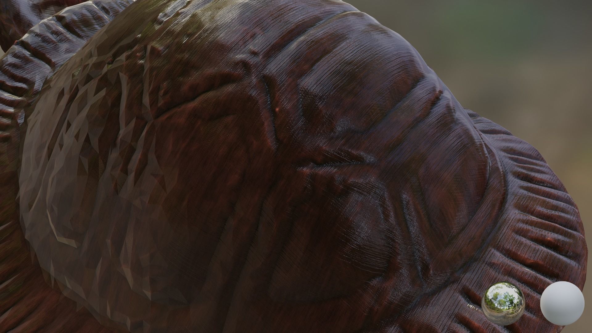 Turtle 01 3D model_9