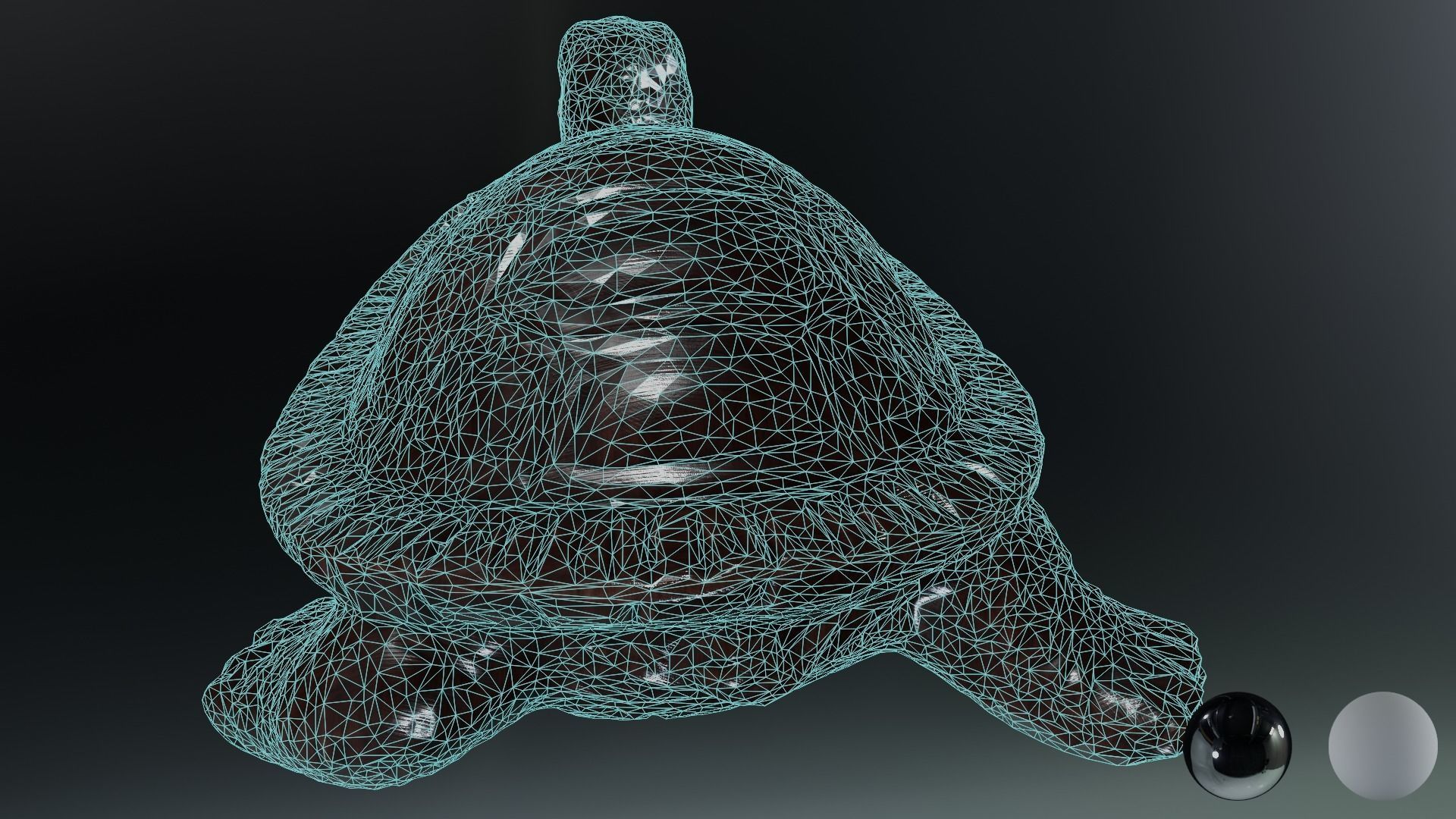 Turtle 01 3D model_14