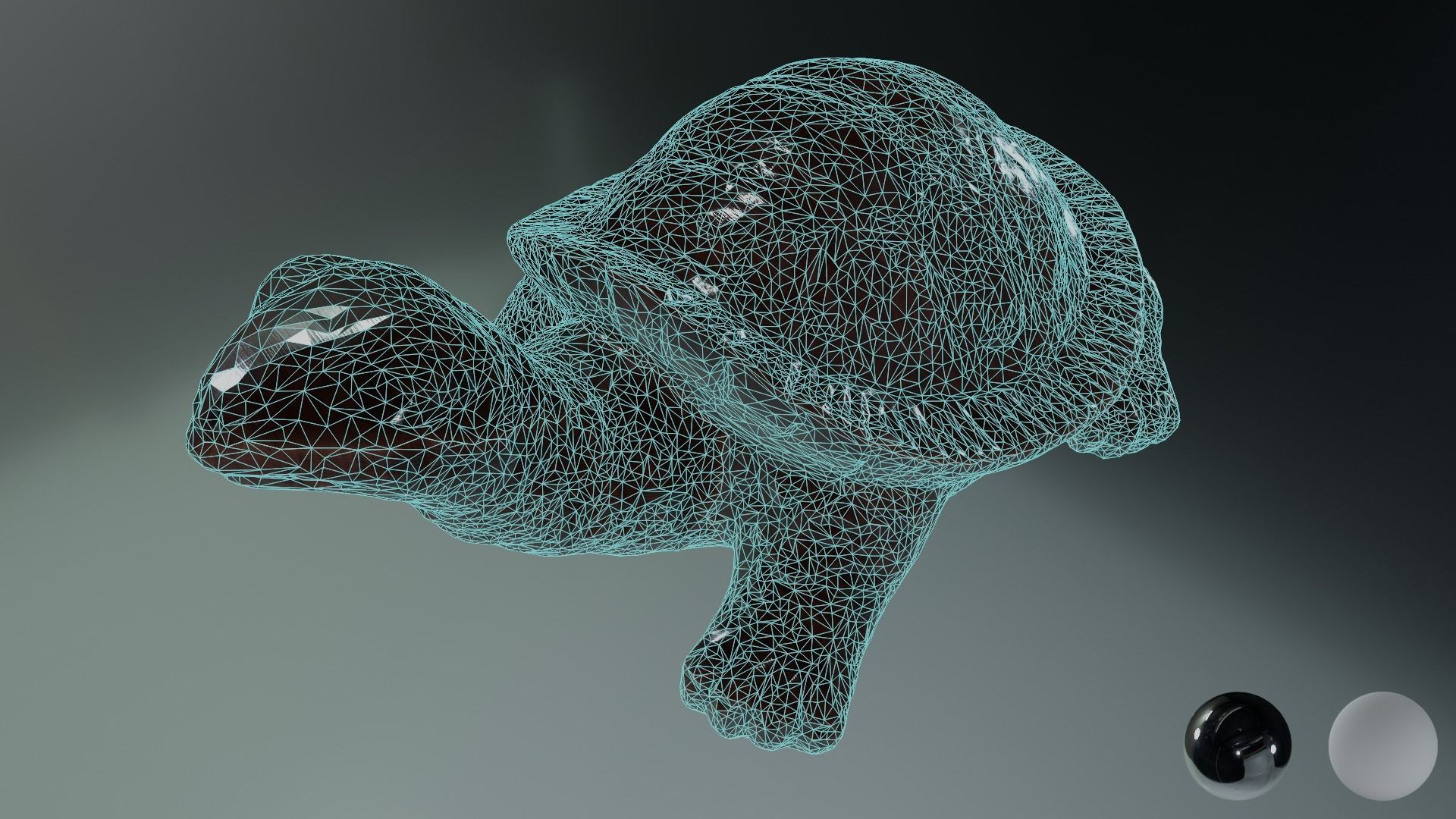 Turtle 01 3D model_12