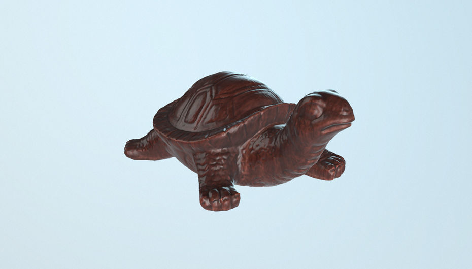 Turtle 01 3D model_15