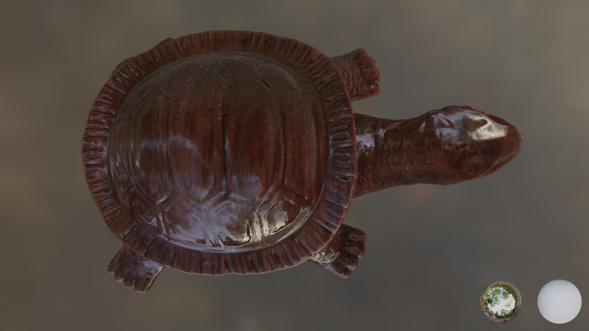Turtle 01 3D model_11