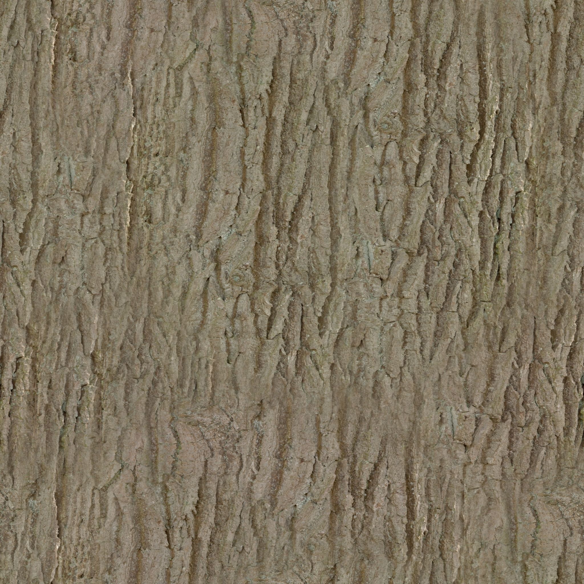 japanese tree Free 3D model_4