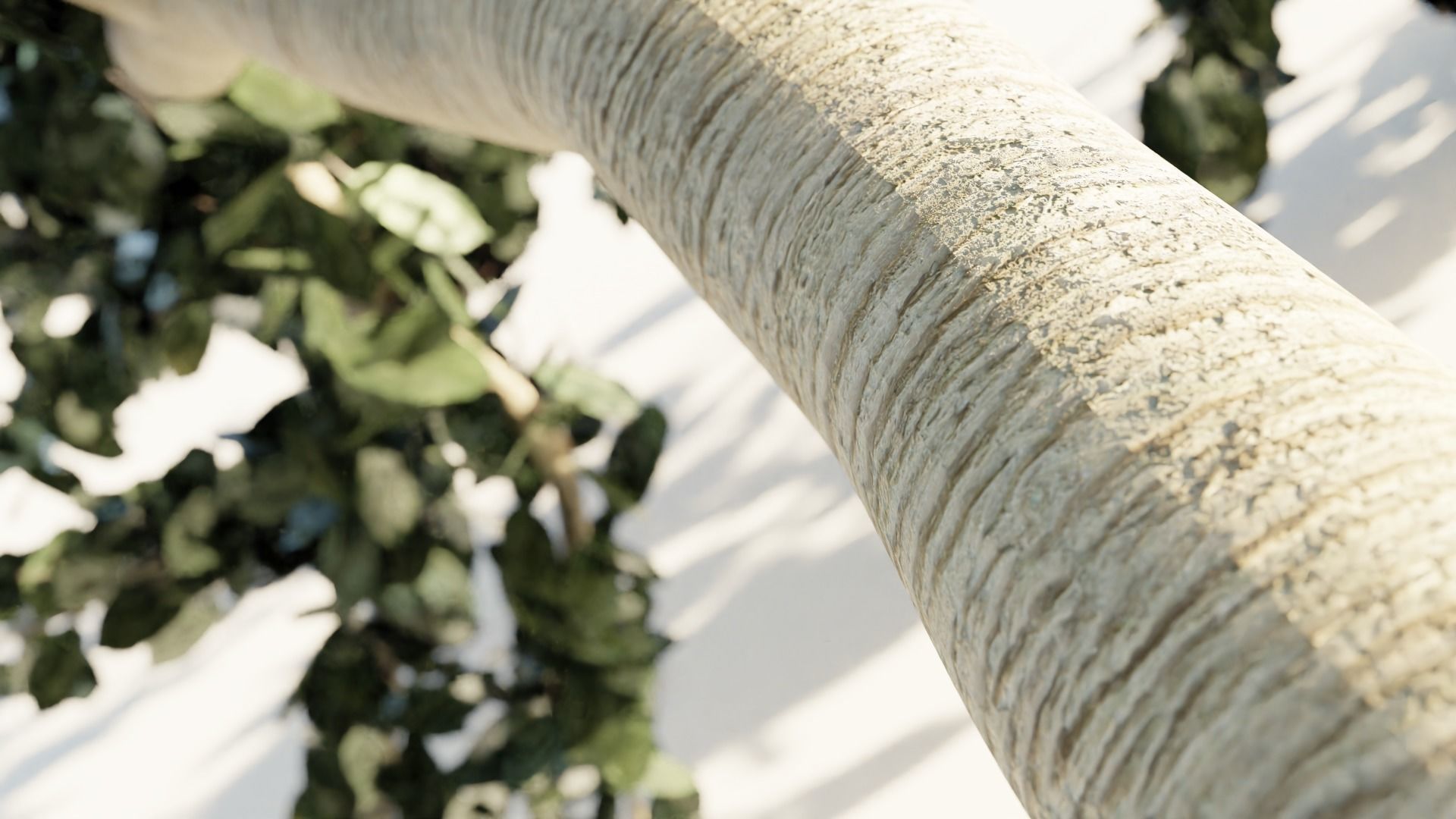 japanese tree Free 3D model_1