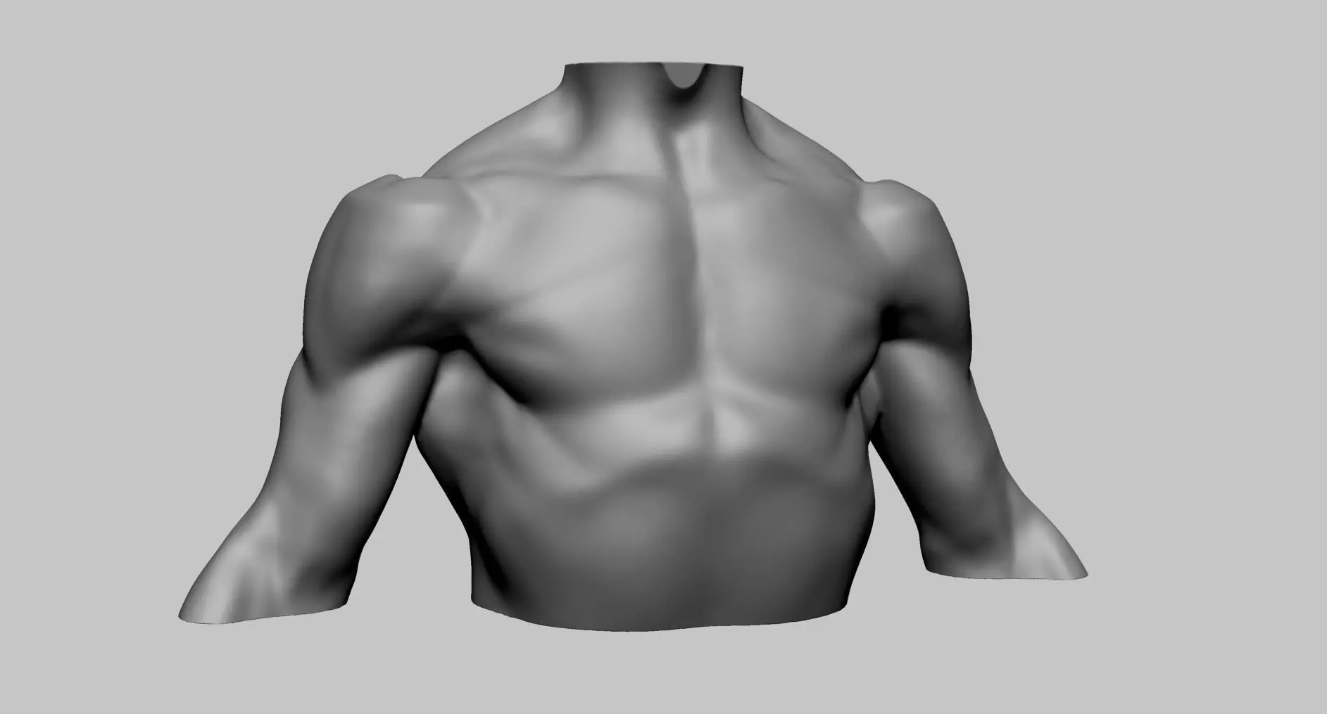 Chest Shoulder Printable 3D print model_0