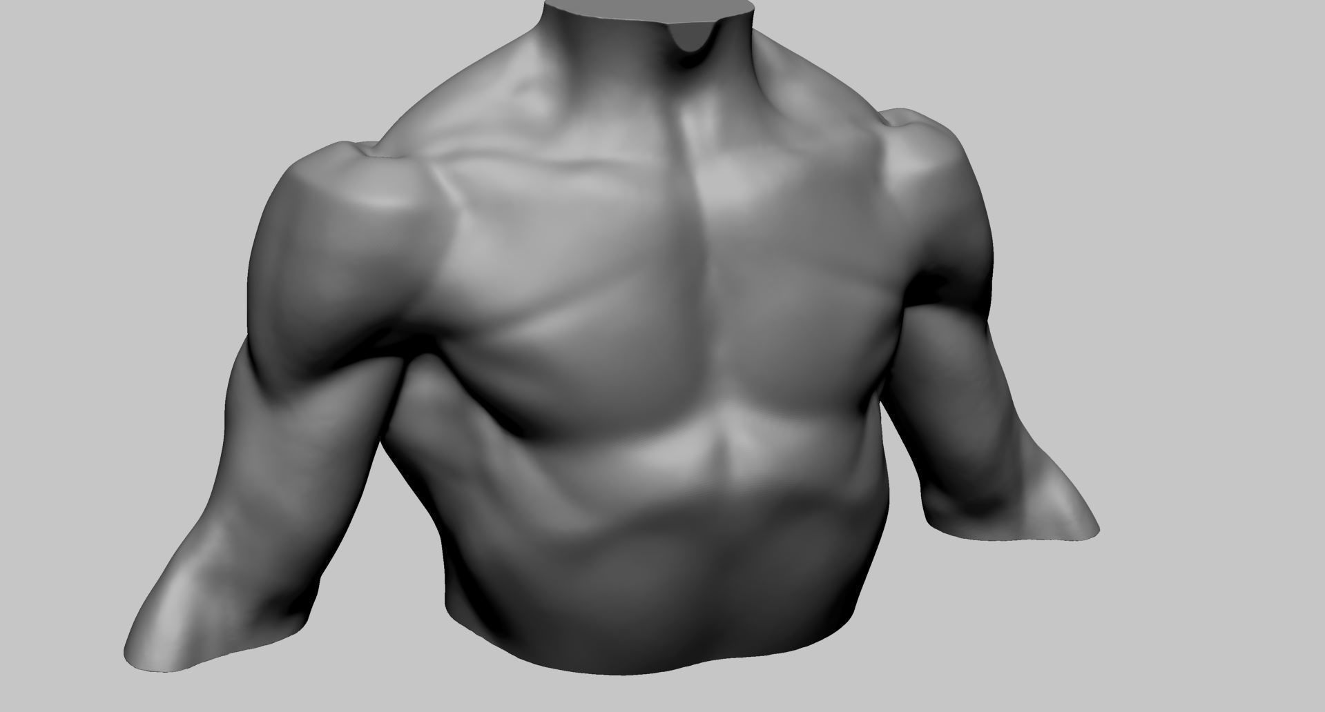 Chest Shoulder Printable 3D print model_1