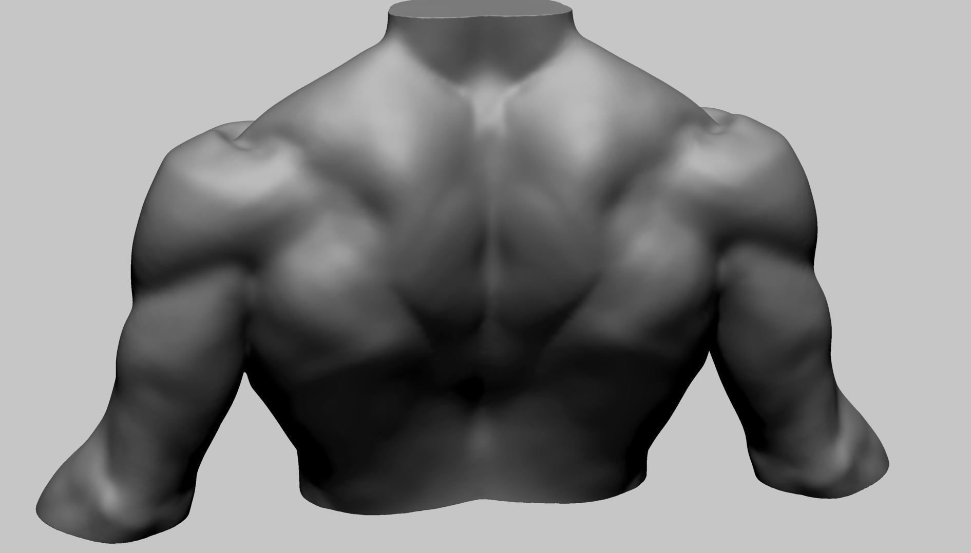 Chest Shoulder Printable 3D print model_5