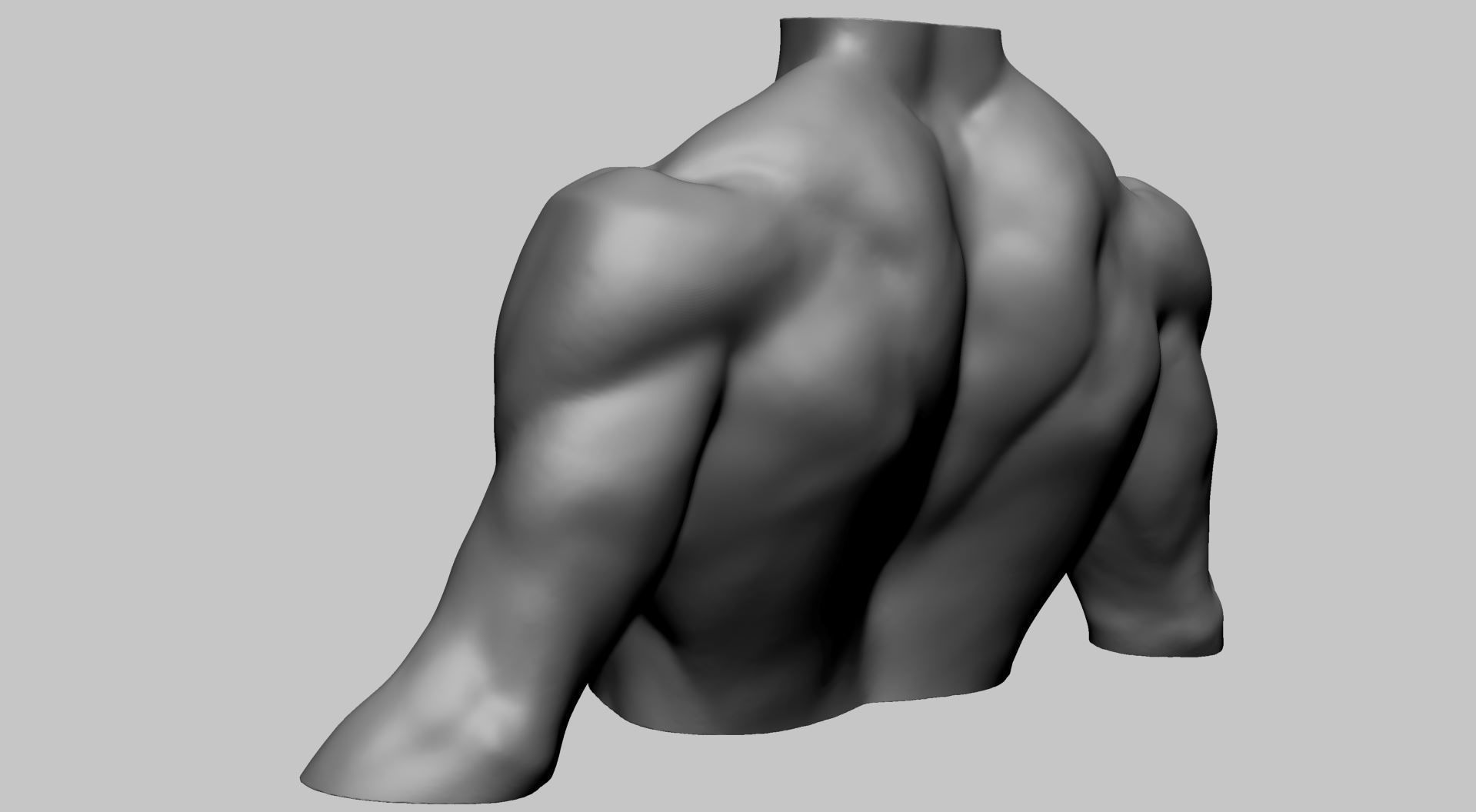 Chest Shoulder Printable 3D print model_6