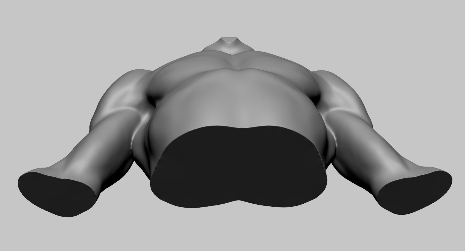 Chest Shoulder Printable 3D print model_8