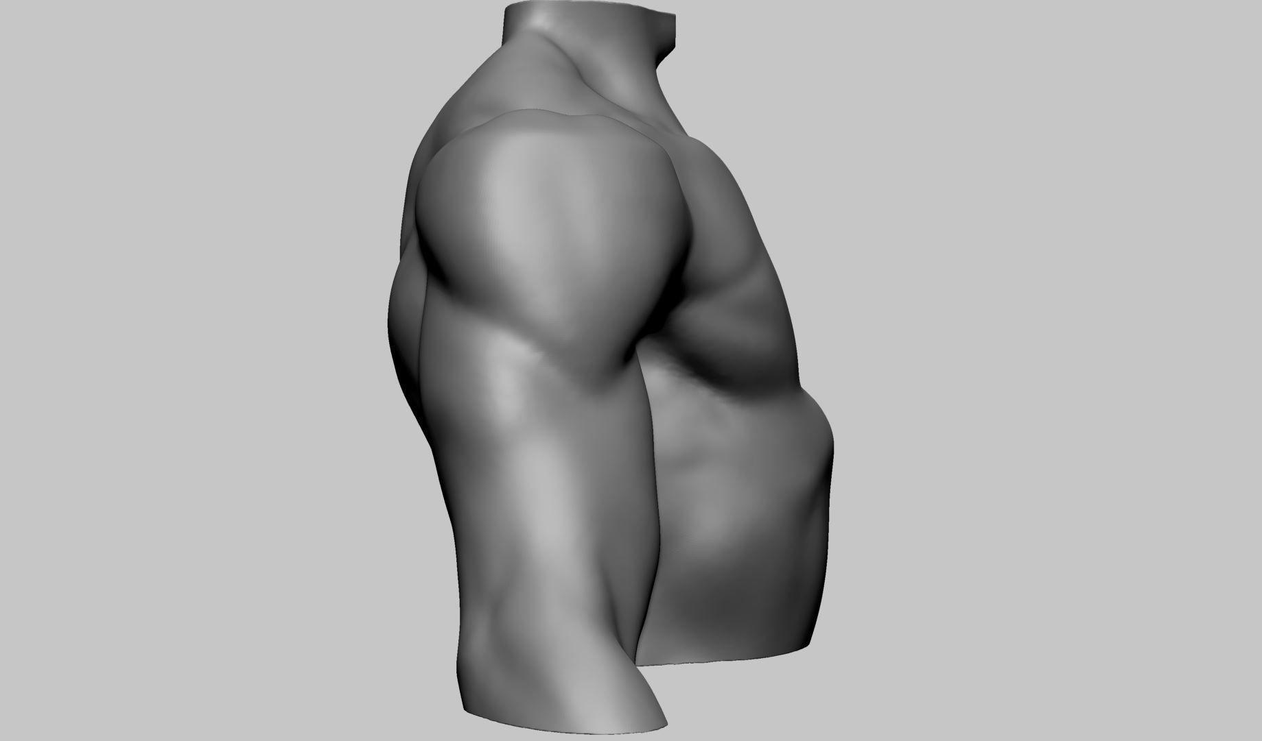 Chest Shoulder Printable 3D print model_3