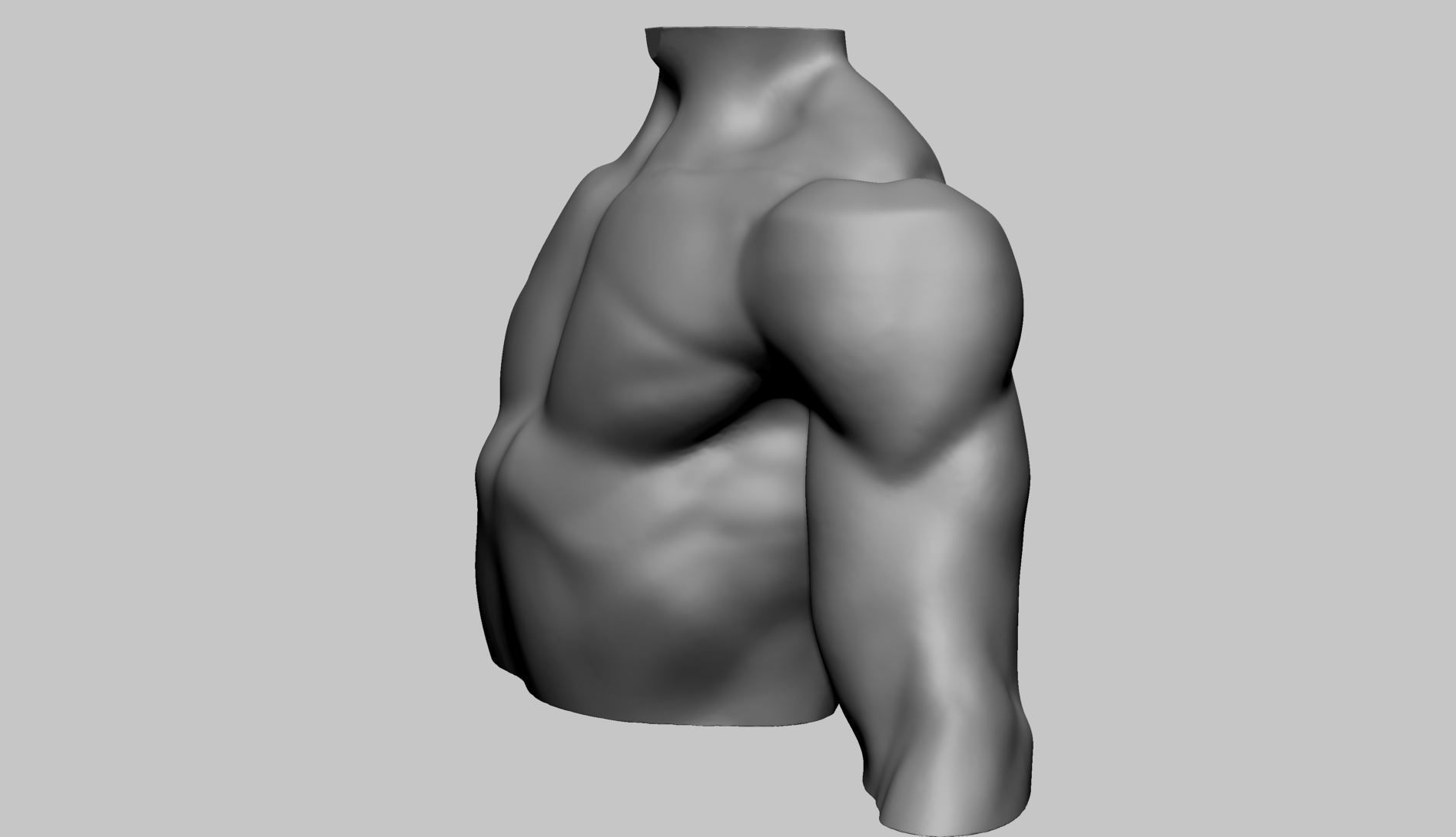 Chest Shoulder Printable 3D print model_7