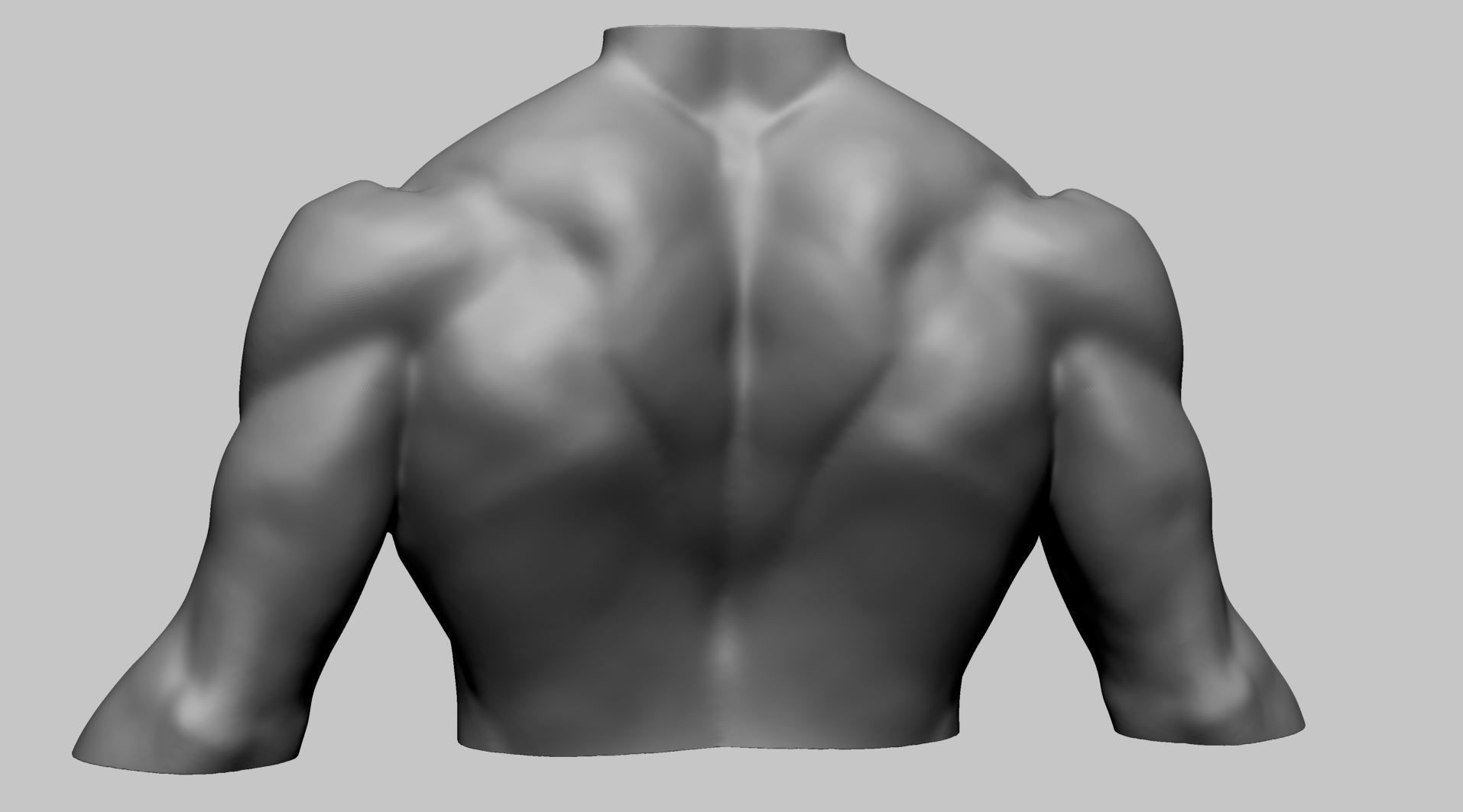 Chest Shoulder Printable 3D print model_4