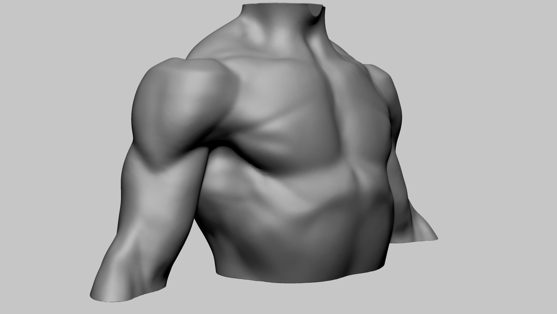 Chest Shoulder Printable 3D print model_2