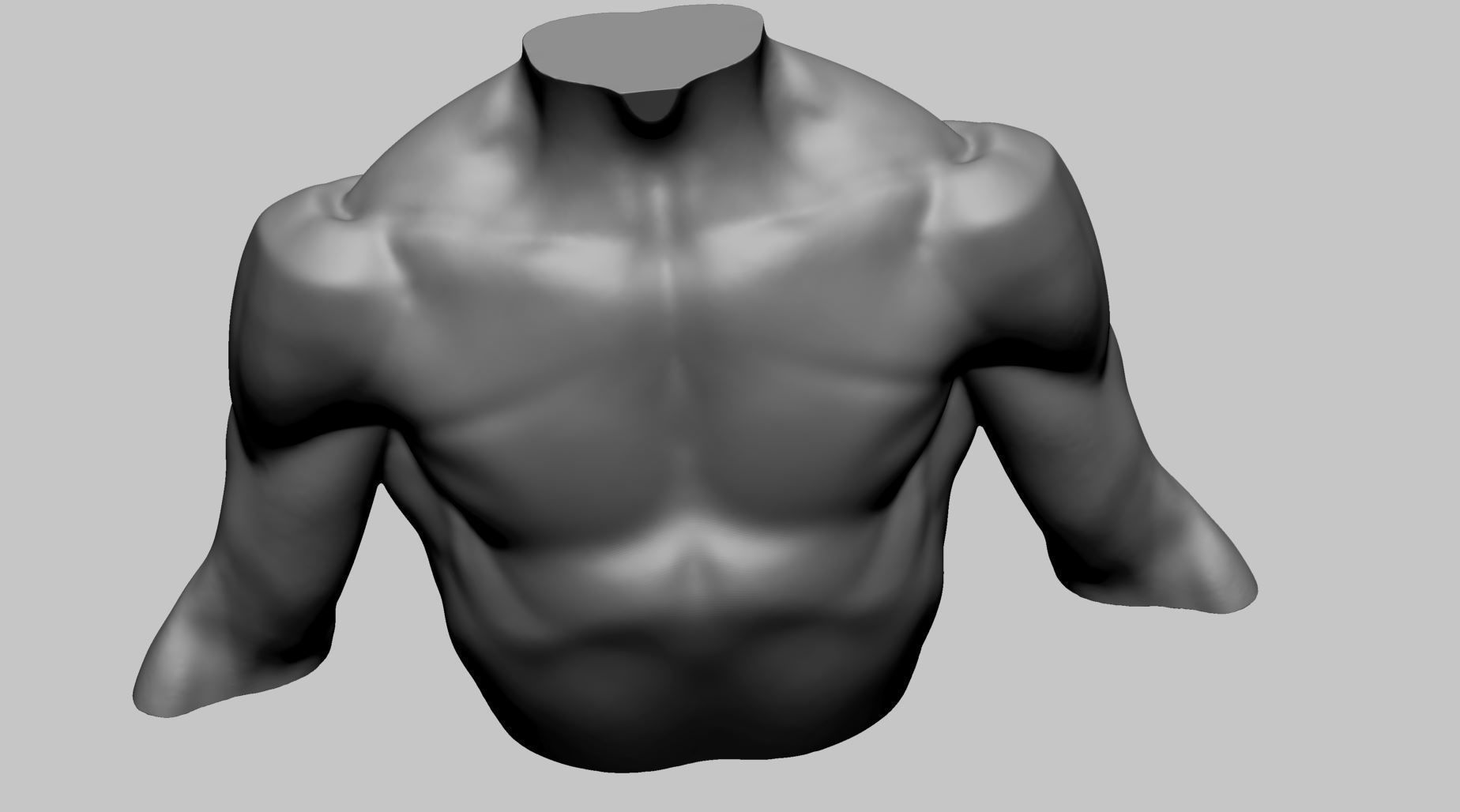 Chest Shoulder Printable 3D print model_9