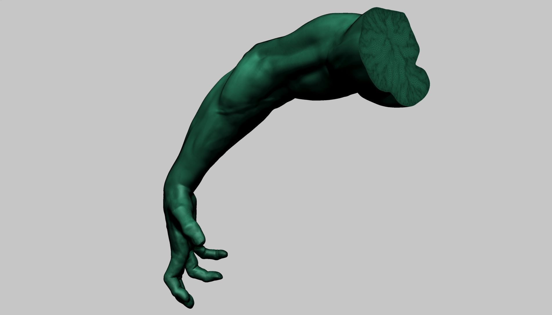 Arm Model Printable A 3D print model_11