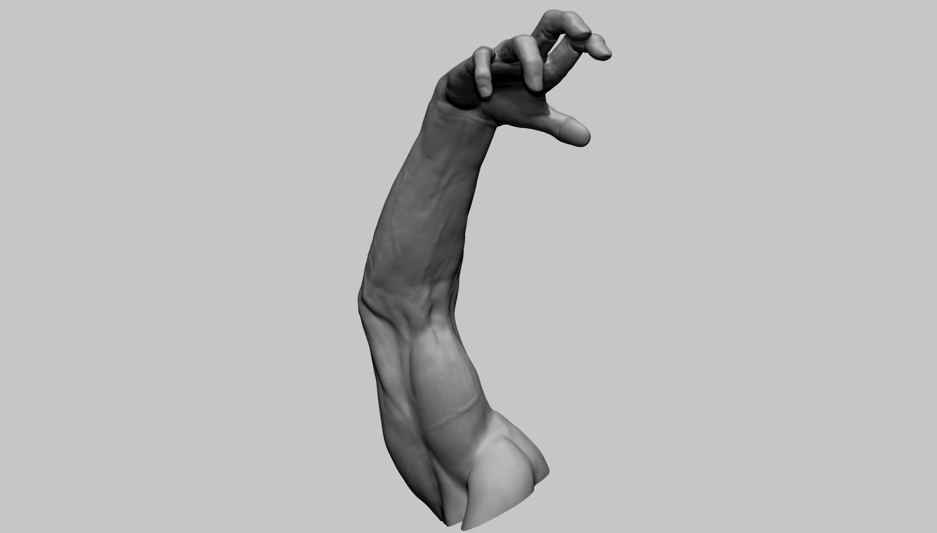 Arm Model Printable A 3D print model_6