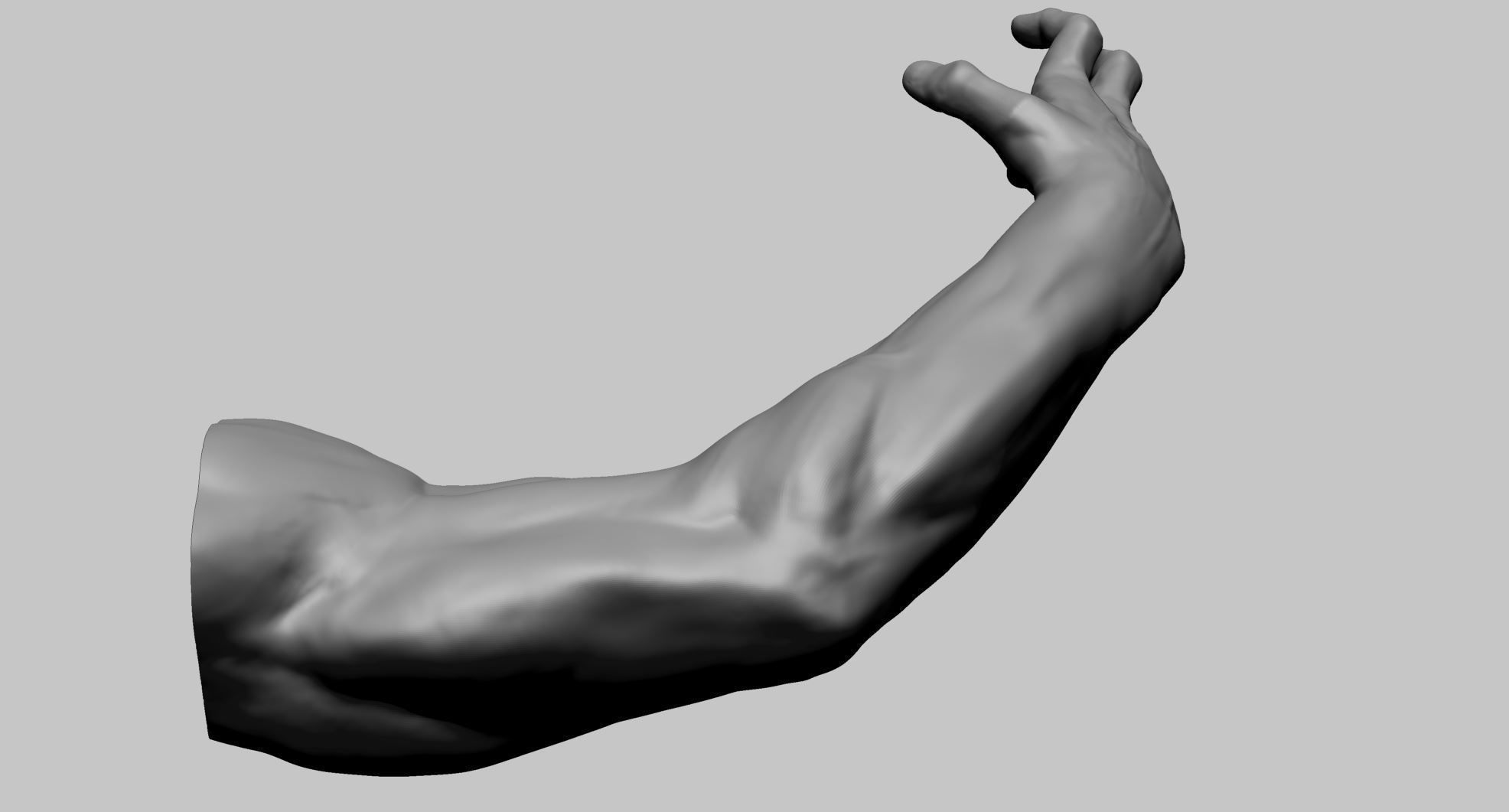 Arm Model Printable A 3D print model_2