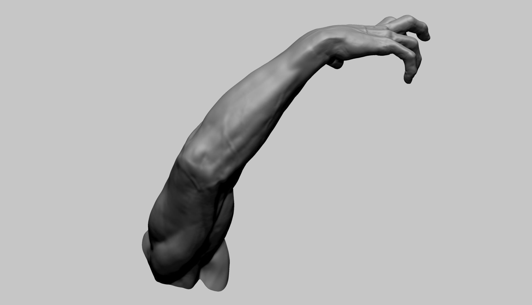 Arm Model Printable A 3D print model_7