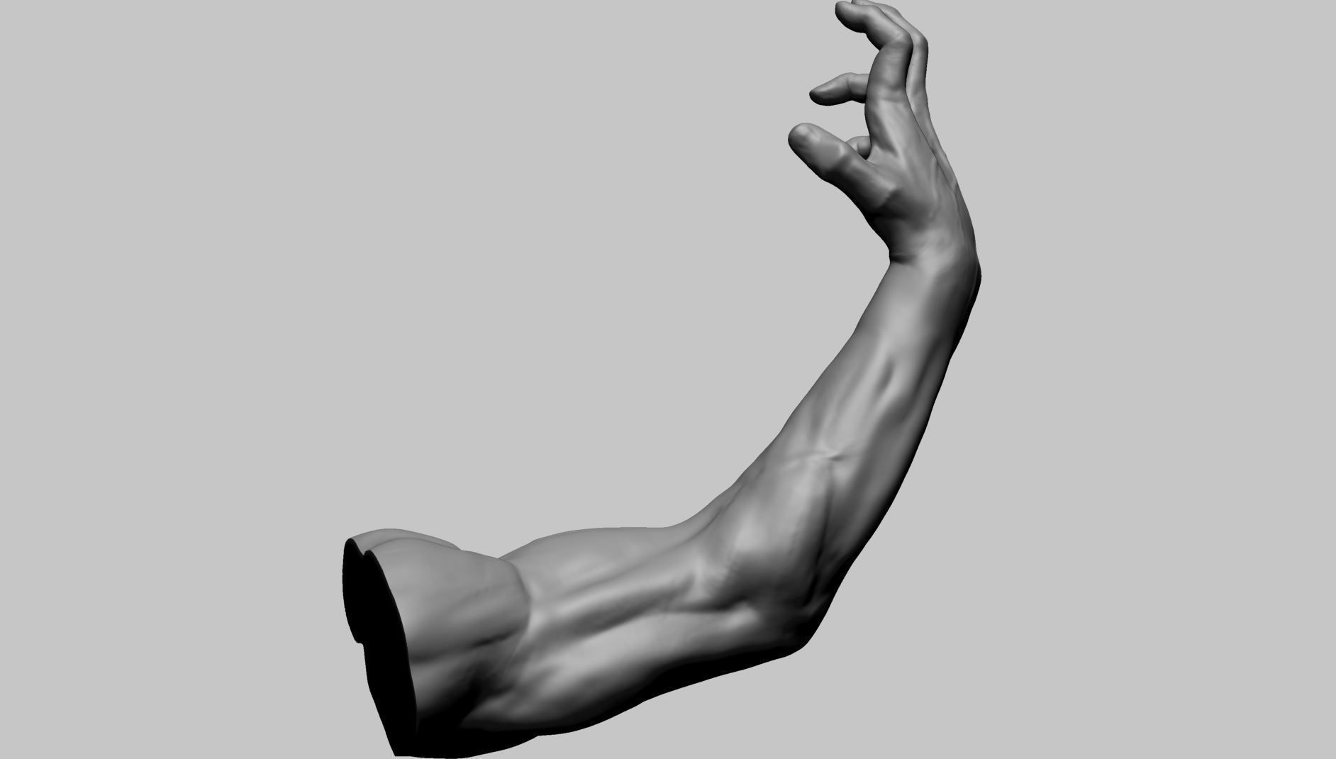 Arm Model Printable A 3D print model_3