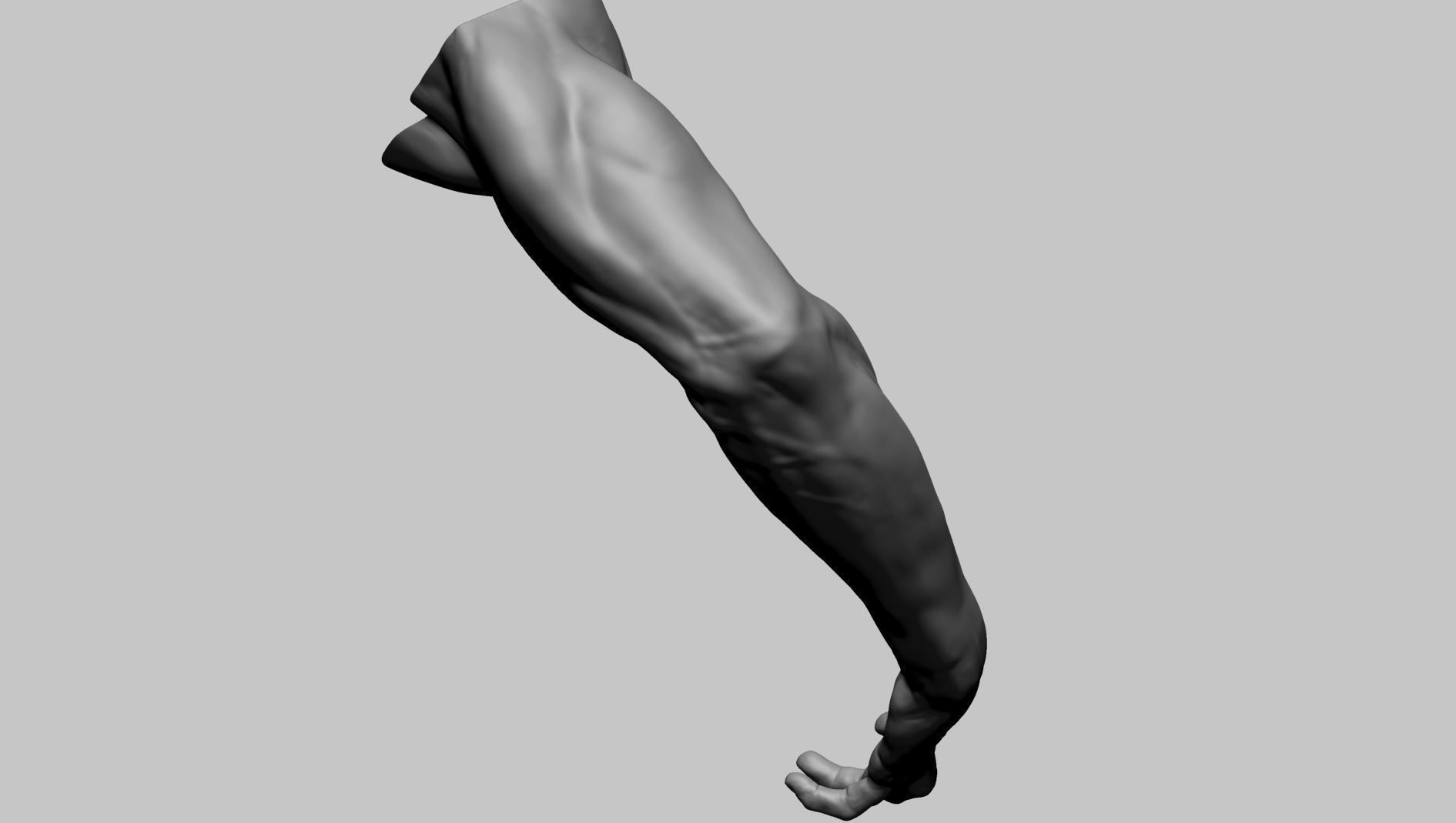 Arm Model Printable A 3D print model_8